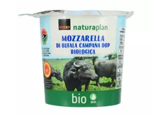 Naturaplan Bio Mozzarella di bufala DOP