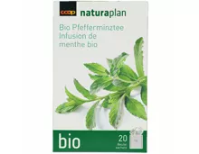 Naturaplan Bio Pfefferminze 20 Beutel