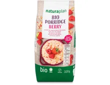 Naturaplan Bio Porridge Beeren