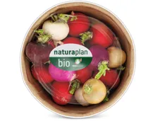 Naturaplan Bio Radieschen Mix