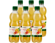 Naturaplan Bio Schorle Grapefruit 6x 50cl