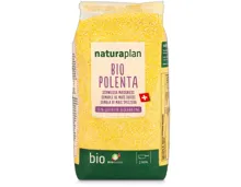 Naturaplan Bio Schweizer Maisgriess