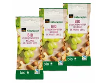 Naturaplan Bio Studentenfutter 3x50g