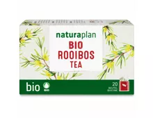 Naturaplan Bio Tee Rooibos 20 Beutel