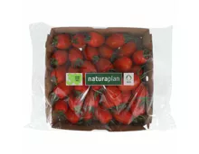 Naturaplan Bio Tomaten Marzanino