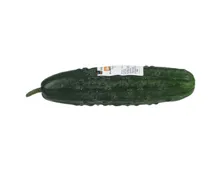 Naturaplan Demeter Bio Nostrani Gurke 1 Stück