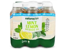 Naturaplan Mint Lemon Bio Herbal Tea ungesüsst 6x50CL