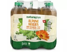 Naturaplan Organic Alpine Herbs Ice Tea 6x1l