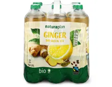 Naturaplan Organic Ginger Green Ice Tea 6x1.5l