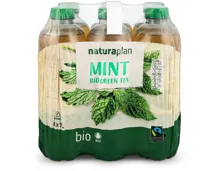 Naturaplan Organic Mint Green Ice Tea 6x1l
