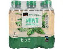 Naturaplan Organic Moroccan Mint Green Ice Tea 6x50cl