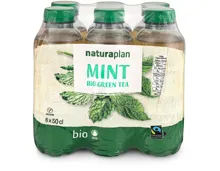 Naturaplan Organic Moroccan Mint Green Ice Tea 6x50cl