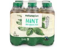 Naturaplan Organic Moroccan Mint Green Ice Tea 6x50cl