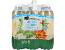 Naturaplan Organic ungesüsst Alp Herbs Ice Tea 6x1l