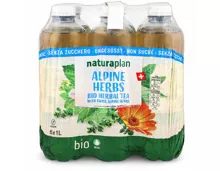 Naturaplan Organic ungesüsst Alpine Herbs Ice Tea 6x1l