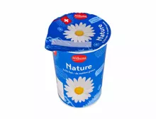 Naturjoghurt 3.5% stichfest​