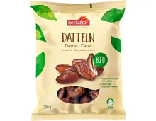 Nectaflor Bio-Datteln