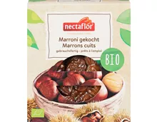 Nectaflor Bio-Marroni