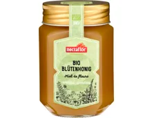 Nectaflor Blütenhonig Bio