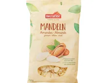 Nectaflor Mandeln
