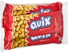 Nectaflor Quix Erdnüsse