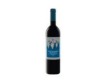 Negroamaro Salento IGP 2021