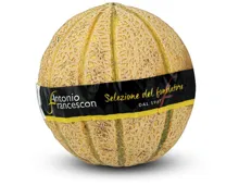 Netzmelone Selezione del fondatore