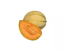 Netzmelonen