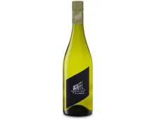 Niederösterreich Grüner Veltliner vom Haus Pfaffl (2025) – Weisswein, Österreich (0.75l)