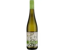 Niederösterreich Qualitätswein Naturaplan Bio-Grüner Veltliner Biokult (2025) – Weisswein, Österreich (0.75l)