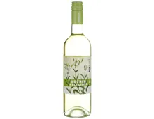 Niederösterreich Qualitätswein Naturaplan Bio-Grüner Veltliner Biokult (2025) – Weisswein, Österreich (0.75l)