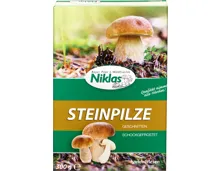 Niklas Steinpilze
