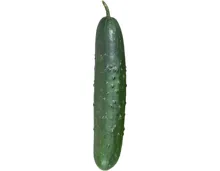 Nostrano Gurken