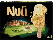Nuii Anatolian Pistacchio