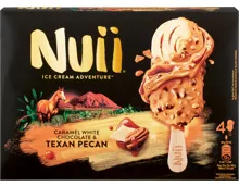 Nuii Glace Caramel White Chocolate & Texan Pecan