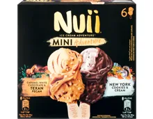 Nuii Glace Mini Adventure
