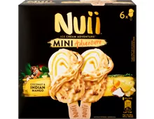 Nuii Glace Mini Adventure