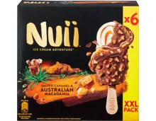 Nuii Glace Salted Caramel & Australian Macadamia