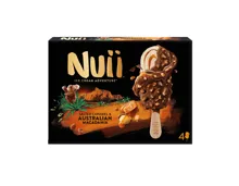 Nuii Ice Cream Adventure