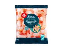 OCEAN SEA ASC Riesencrevetten