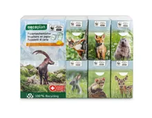 Oecoplan Taschentücher Calendula FSC® Recycled 30x10 Stück