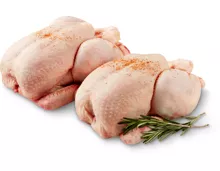 Optigal Poulets ganz