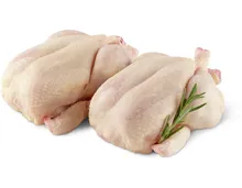 Optigal Poulets ganz