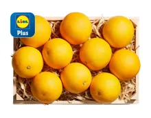 Orangen