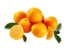 Orangen