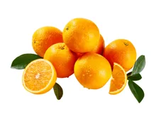 Orangen