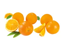Orangen