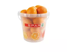 Orangen im SPAR Eimer