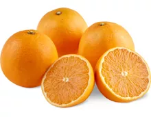 Orangen Tarocco,