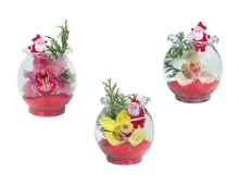 Orchideen im Wellenrandglas mit Weihnachtsdeko